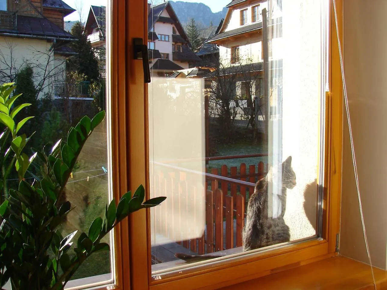 Kwatera prywatna Apartament Kalina Zakopane